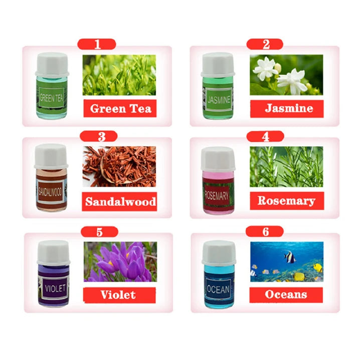 12PCS Water Soluble Essential Oil Set – Humidifier & Aromatherapy