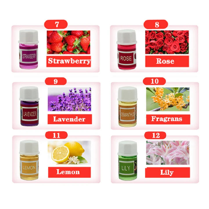 12PCS Water Soluble Essential Oil Set – Humidifier & Aromatherapy