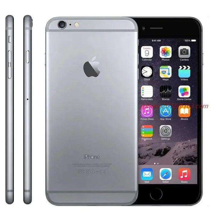 iPhone 6 Plus