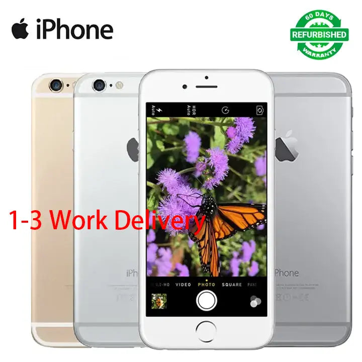 iPhone 6 Plus