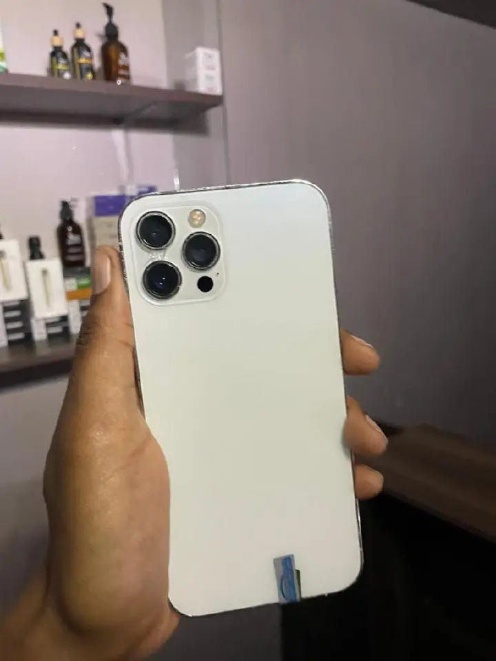 iPhone 12 Pro Max (Black Mint & White)