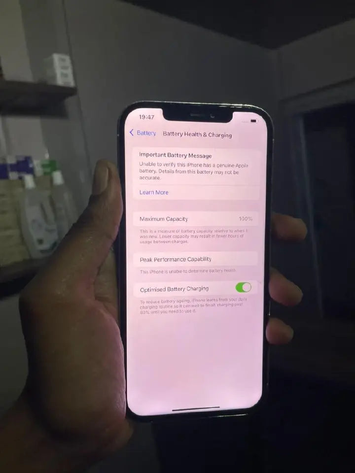 iPhone 12 Pro Max (Black Mint & White)