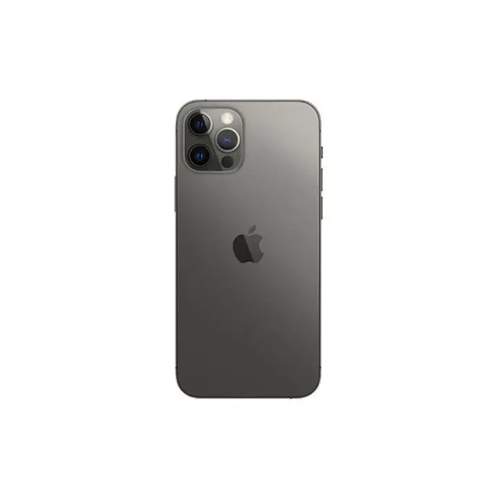 iPhone 12 Pro Max (Black Mint & White)
